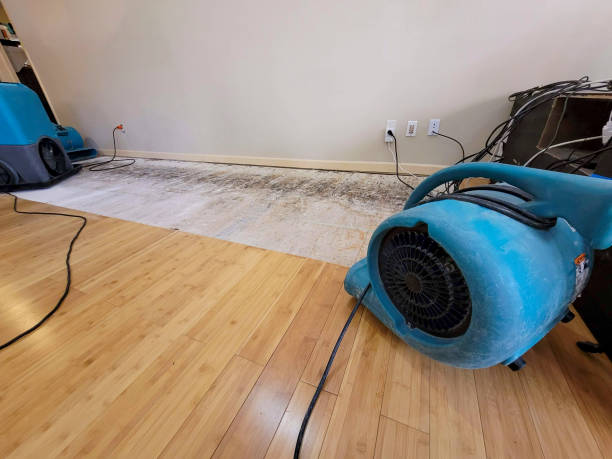 Professional Burst Pipe Water Damage technician working in Rock Valley, IA
